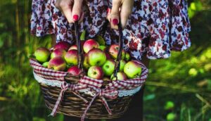 Basket of apples