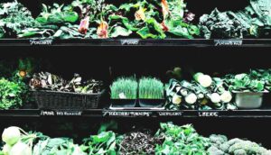 Vegetables on shelves